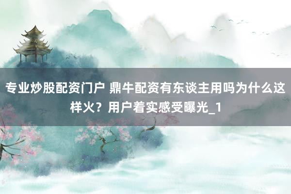 专业炒股配资门户 鼎牛配资有东谈主用吗为什么这样火？用户着实感受曝光_1