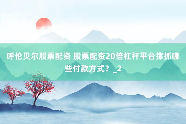 呼伦贝尔股票配资 股票配资20倍杠杆平台撑抓哪些付款方式？_2