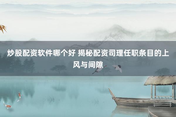 炒股配资软件哪个好 揭秘配资司理任职条目的上风与间隙