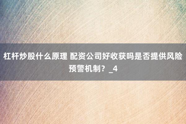 杠杆炒股什么原理 配资公司好收获吗是否提供风险预警机制？_4