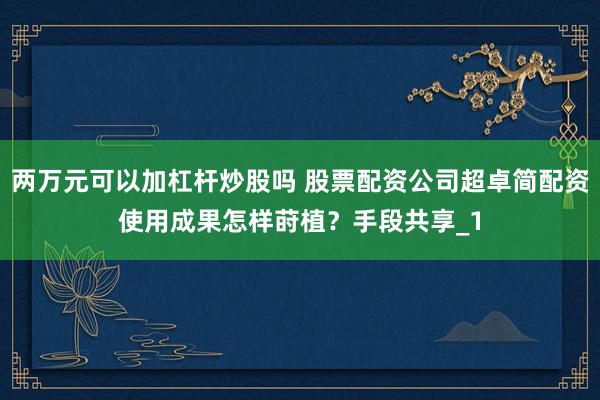 两万元可以加杠杆炒股吗 股票配资公司超卓简配资使用成果怎样莳植?手段共享_1