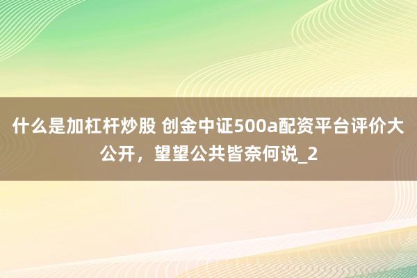 什么是加杠杆炒股 创金中证500a配资平台评价大公开，望望公共皆奈何说_2