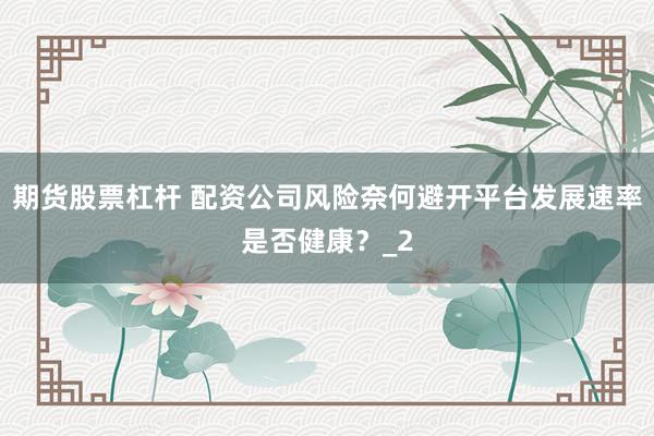 期货股票杠杆 配资公司风险奈何避开平台发展速率是否健康？_2